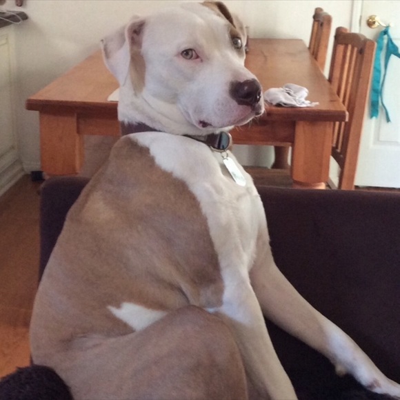 Organized By Size - Picture 1 of 6